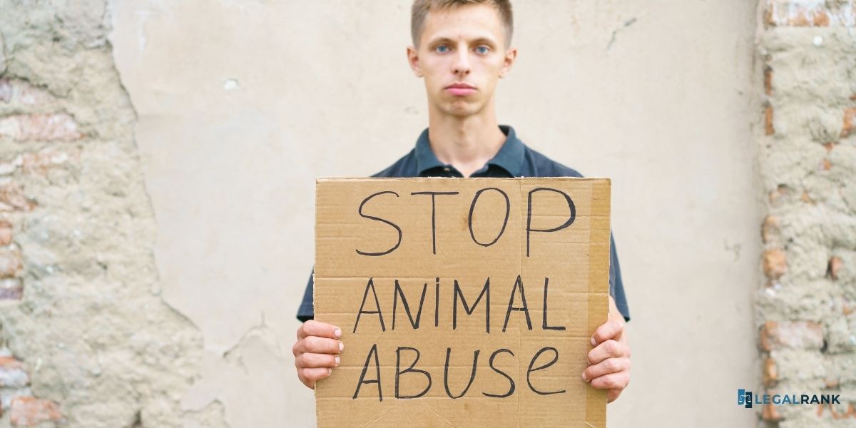 no al maltrato físico de animal