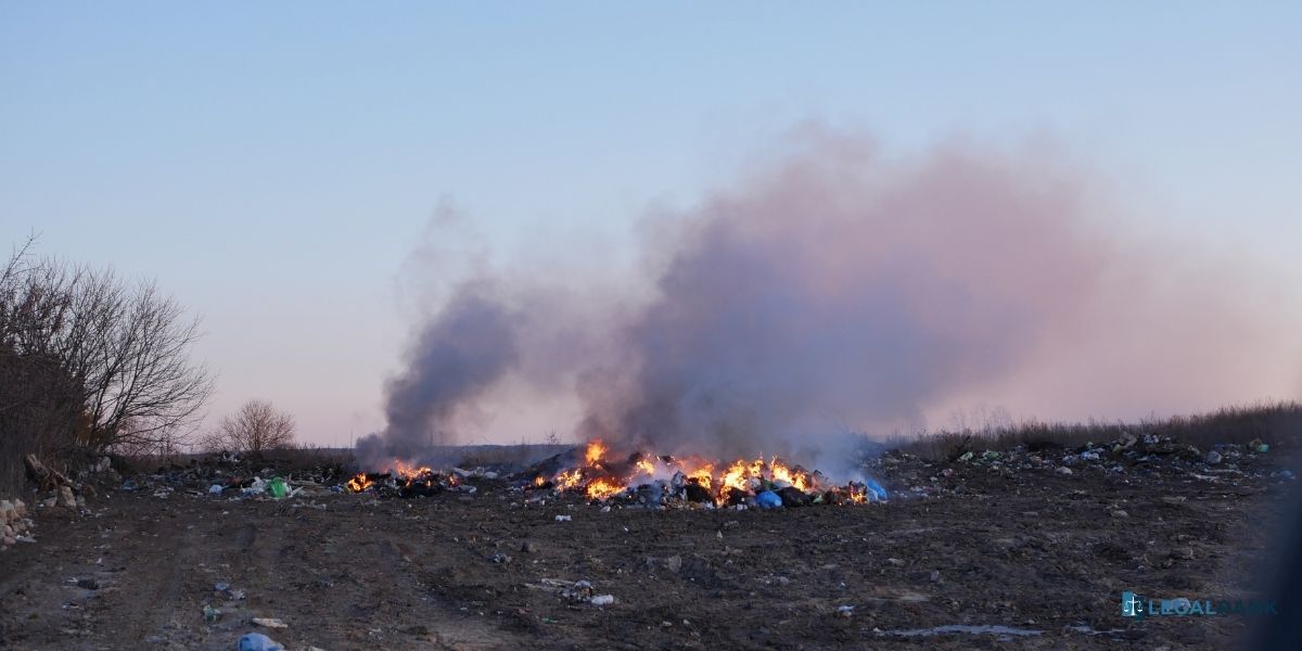 delitos medioambientales