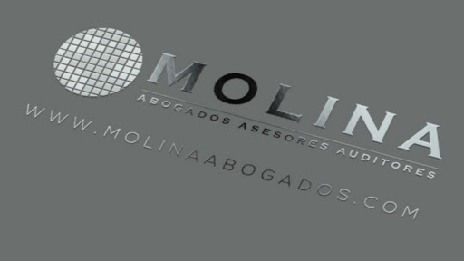 MOLINA ABOGADOS ASESORES Y AUDITORES