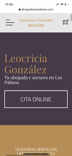 Leocricia Gonzalez abogados