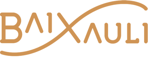 Logo de Baixaulí Asesores S A