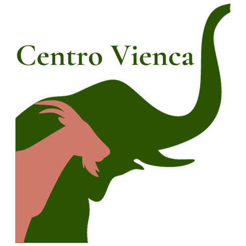 Logo de Centro Vienca