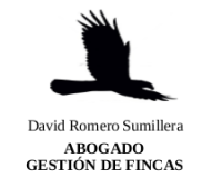 Logo de David Romero Sumillera