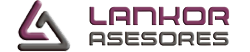 Logo de Lankor Asesores