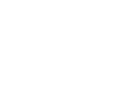 Logo de Fernando Scornik Gerstein