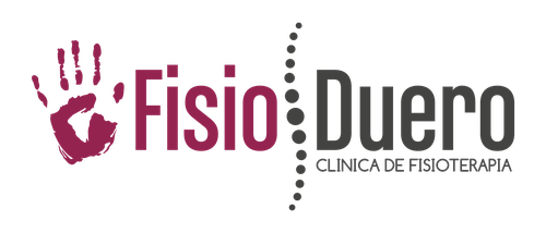 Logo de Fisioduero