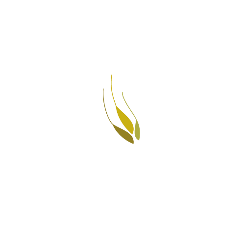 Logo de Robles Robles, J