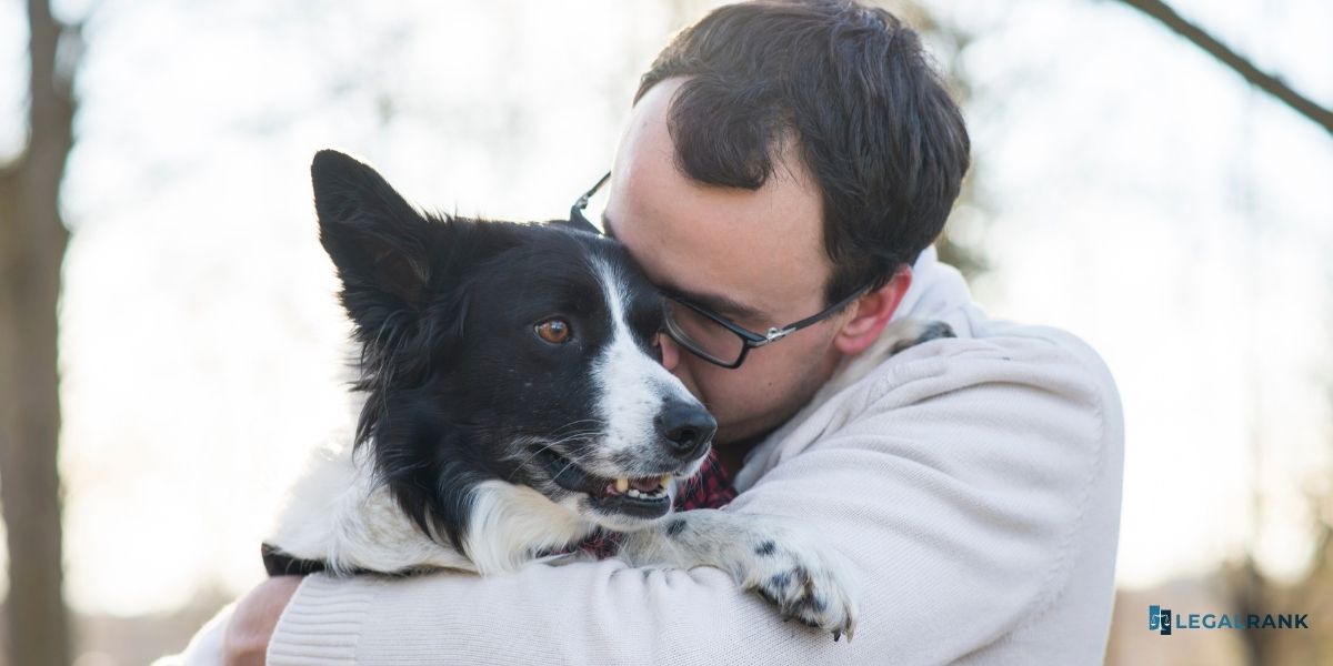 colaboración entre protectoras de animales