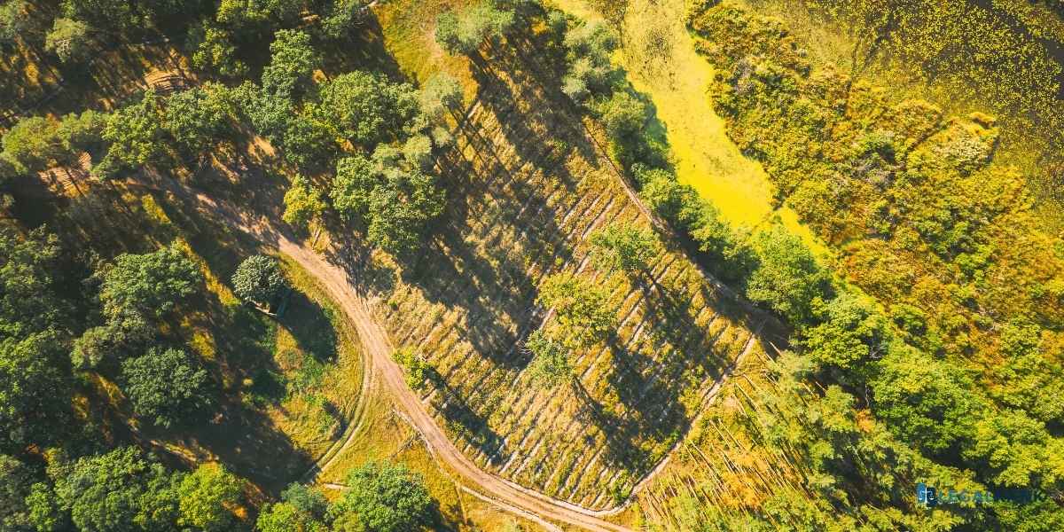  ley de montes en Andalucía 